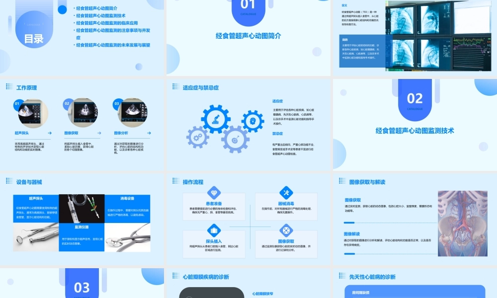 经食管超声心动图监测通用课件