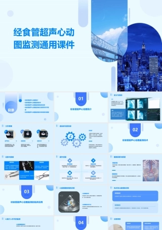 经食管超声心动图监测通用课件