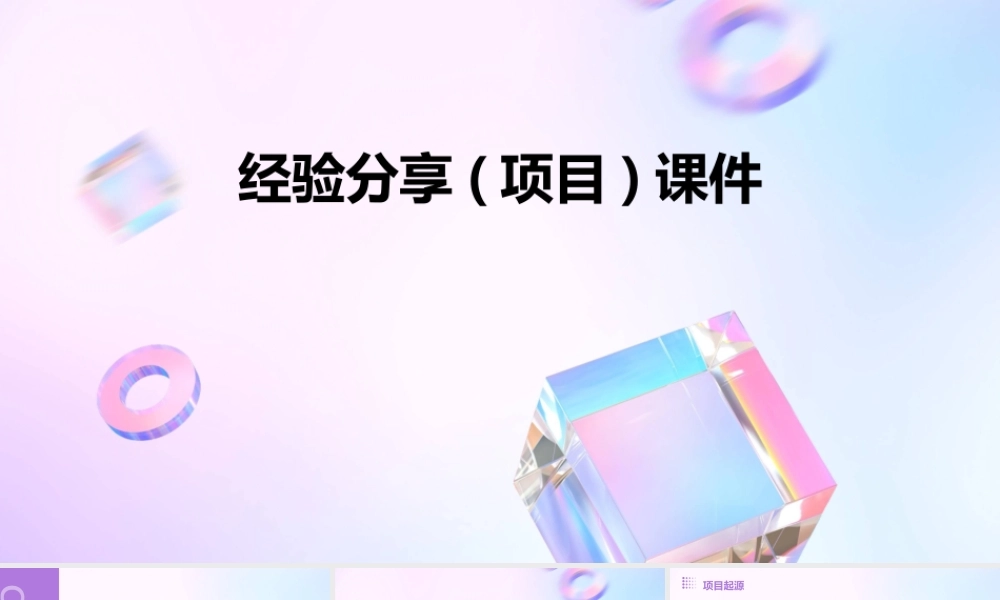 经验分享(项目)课件