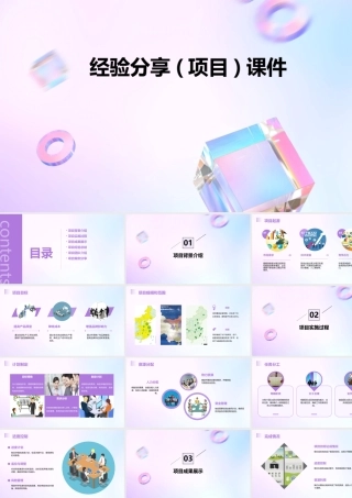 经验分享(项目)课件