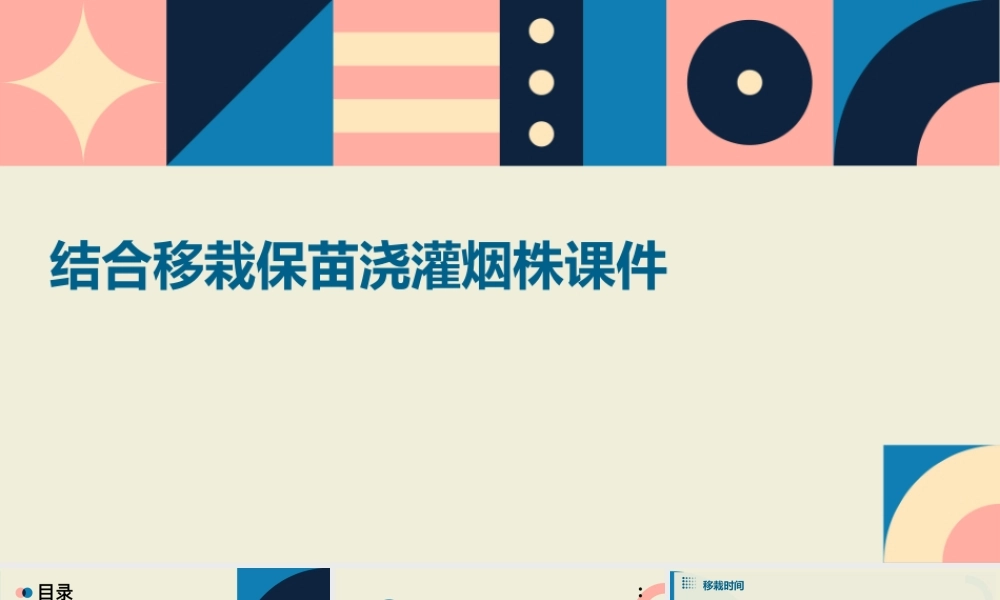 结合移栽保苗浇灌烟株课件