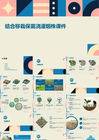 结合移栽保苗浇灌烟株课件