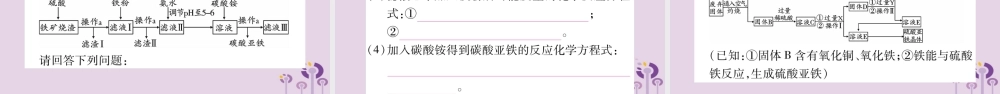 中考化学复习 第二部分 重难题型专题突破 专题六 工艺流程图题(精讲)课件