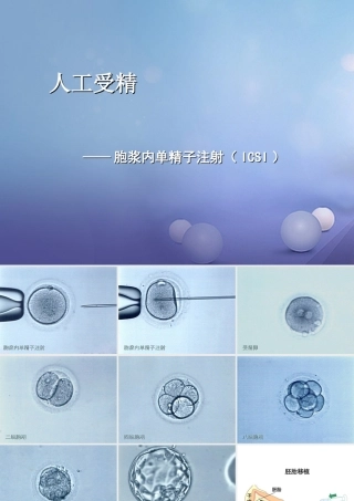 七年级生物下册 第四单元 生物圈中的人 第八章 人是生殖和发育 第一节 精卵结合孕育新的生命组图素材1(新版)苏教版 素材