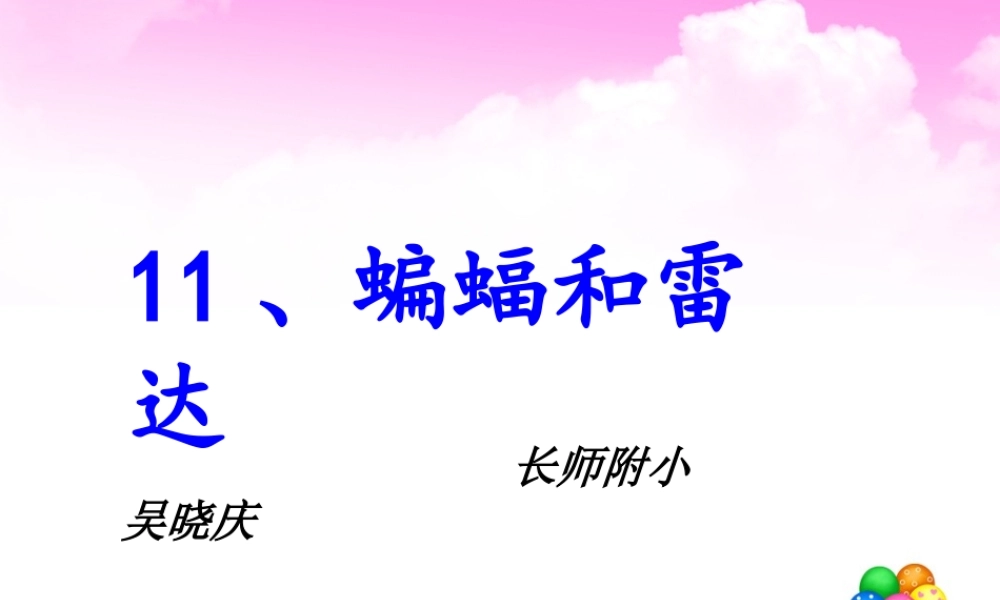 蝙蝠和雷达课件 (2)