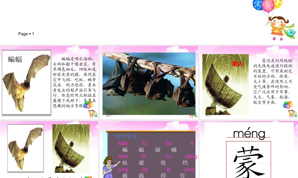 蝙蝠和雷达课件 (2)