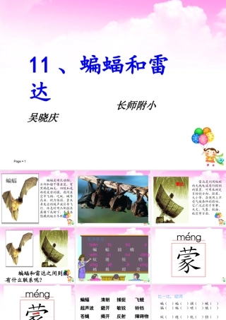 蝙蝠和雷达课件 (2)