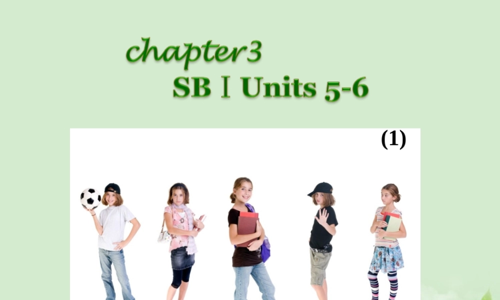广西省高考英语轮一轮复习 Chapter3 SBⅠUnits 5～61课件