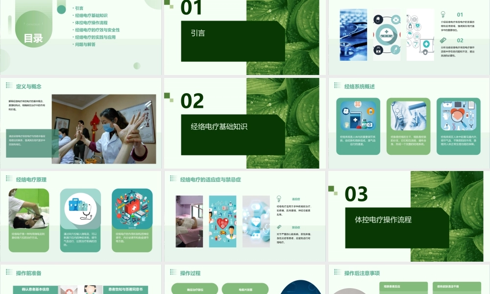 经络电疗体控电疗操作流程课件