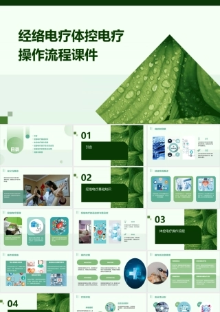 经络电疗体控电疗操作流程课件