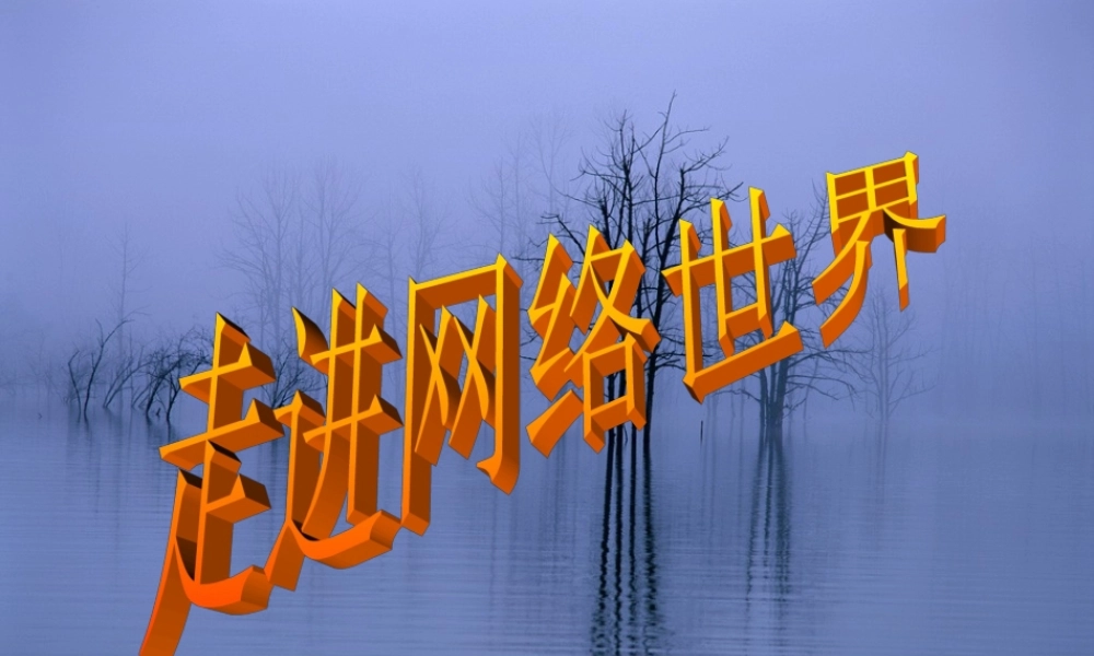 信息技术]走进网络PPT 课件