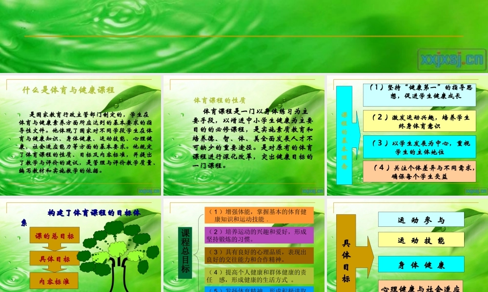 小学体育知识树(水平一)