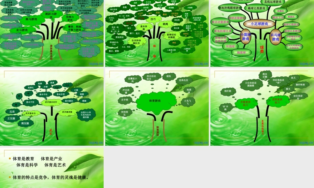 小学体育知识树(水平一)