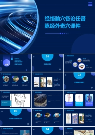 经络腧穴各论任督脉经外奇穴课件