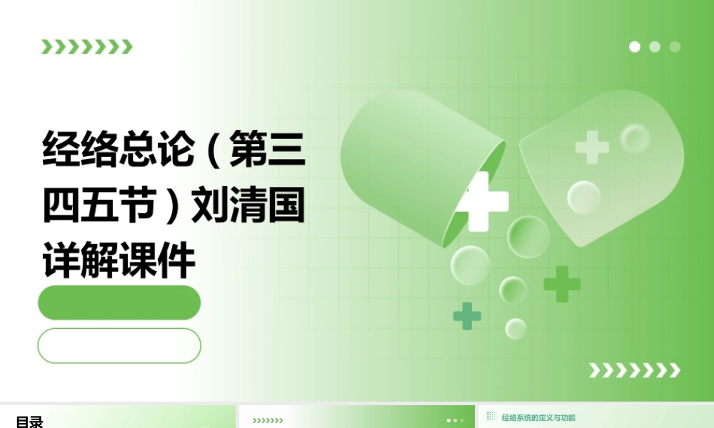 经络总论(第三四五节)刘清国详解课件