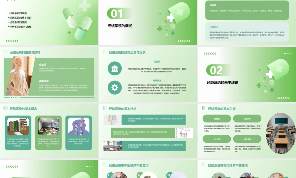 经络总论(第三四五节)刘清国详解课件