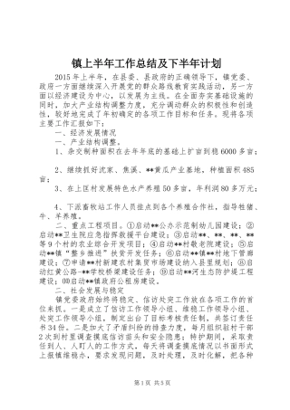 镇上半年工作总结及下半年计划_1