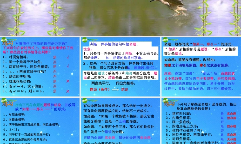 七年级语文下册 5.3.2命题、定理课件 人教新课标版 课件