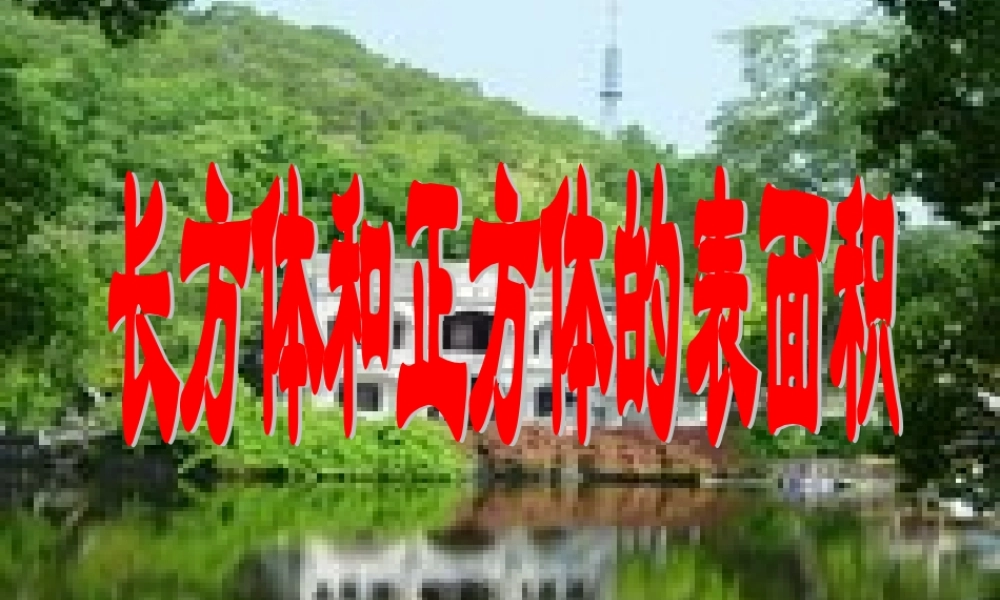 长方体和正方体的表面积2