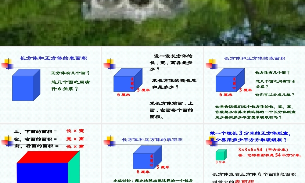 长方体和正方体的表面积2