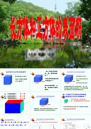 长方体和正方体的表面积2
