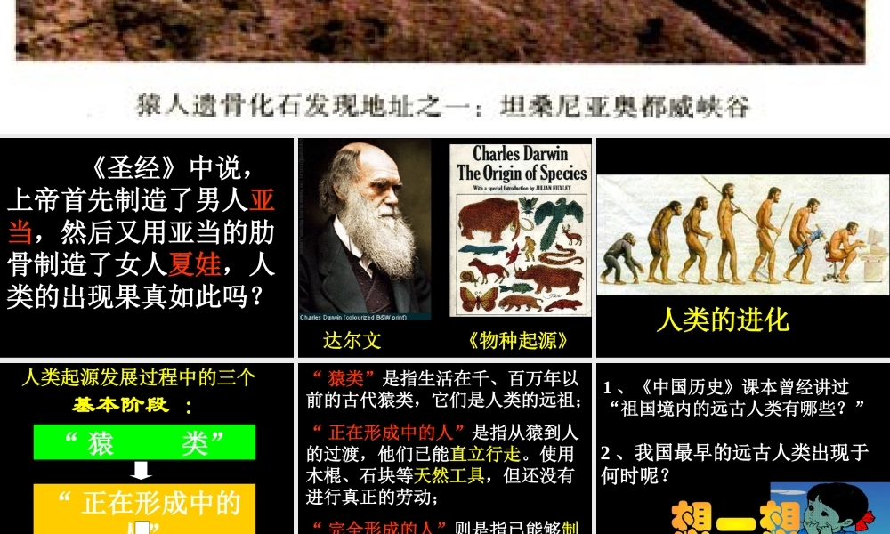 第1课　人类的形成2