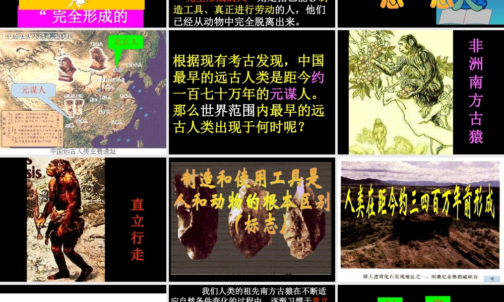 第1课　人类的形成2