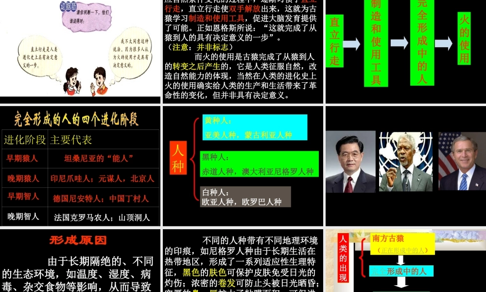 第1课　人类的形成2