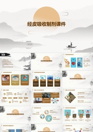 经皮吸收制剂课件