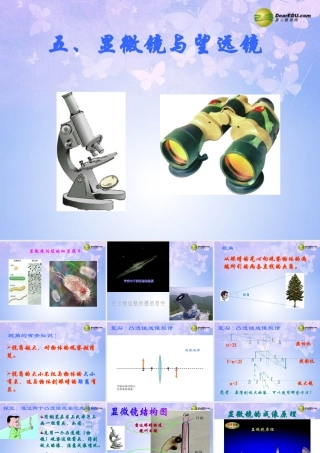八年级物理上册 显微镜与望远镜课件 新人教版 课件