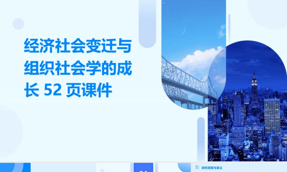 经济社会变迁与组织社会学的成长52页课件