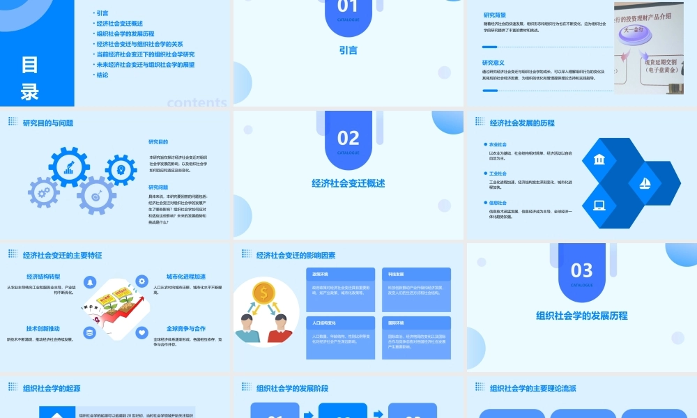 经济社会变迁与组织社会学的成长52页课件