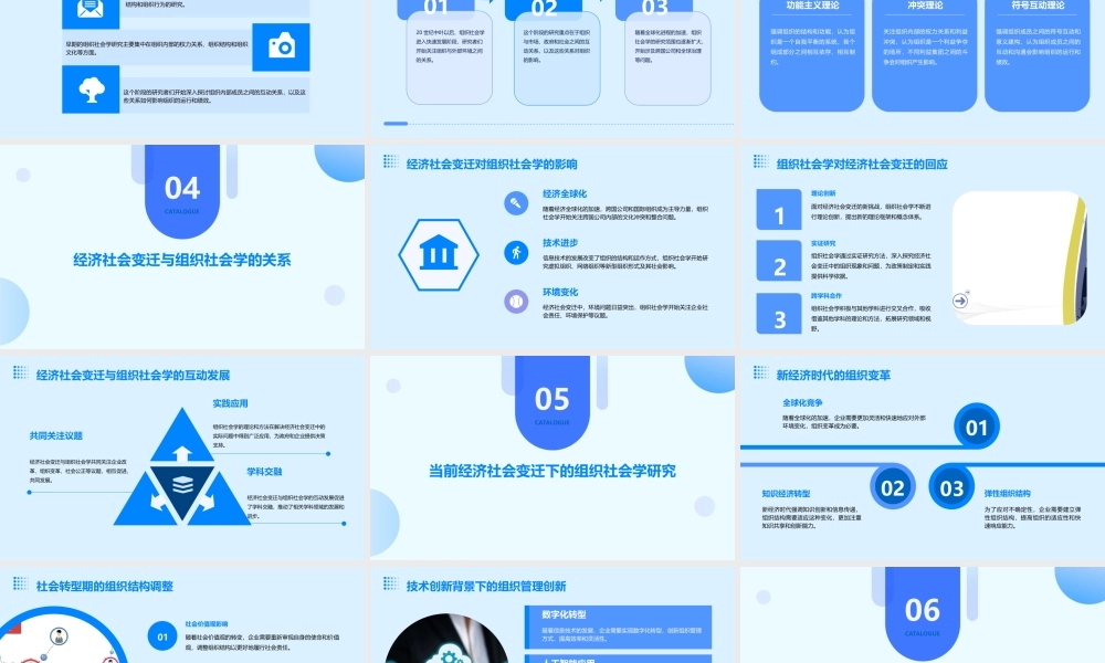 经济社会变迁与组织社会学的成长52页课件