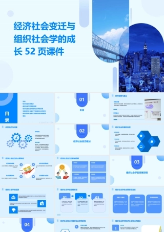 经济社会变迁与组织社会学的成长52页课件