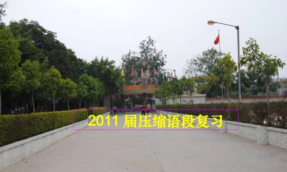 届高考语文 压缩语段复习课件 新人教版 课件