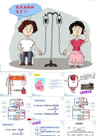 七年级生物下册 3.3.3 物质运输的途径课件(1)(新版)济南版 课件