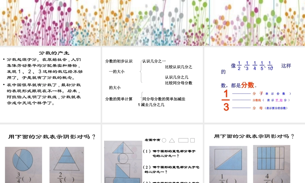 分数的初步认识复习课