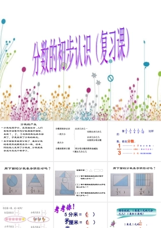 分数的初步认识复习课