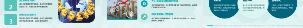 经常项目外汇管理课件