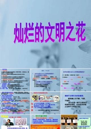 九年级政治全册 第八课 第2框(灿烂的文明之花)课件 新人教版 课件