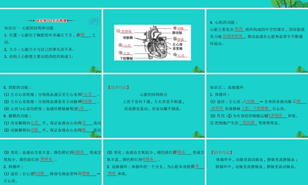 七年级生物下册 4.4.3输送血液的泵 心脏习题课件(新版)新人教版 课件