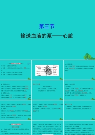 七年级生物下册 4.4.3输送血液的泵 心脏习题课件(新版)新人教版 课件