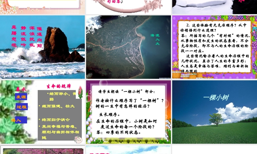 九年级语文谈生命课件 九年级语文谈生命[含视频文件]