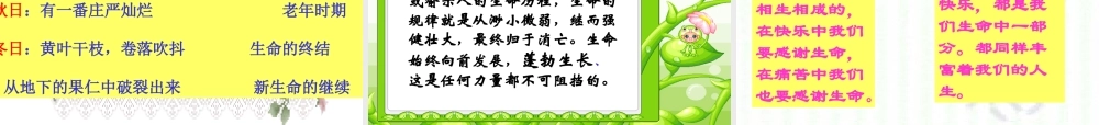 九年级语文谈生命课件 九年级语文谈生命[含视频文件]