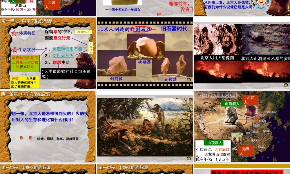 第１课　中华大地远古人类