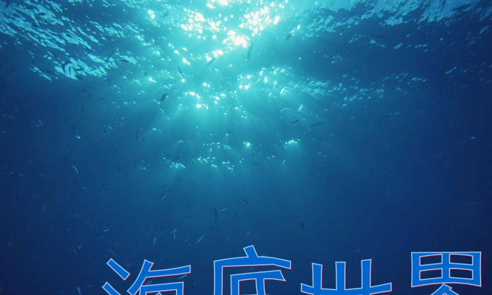 美丽的海底世界