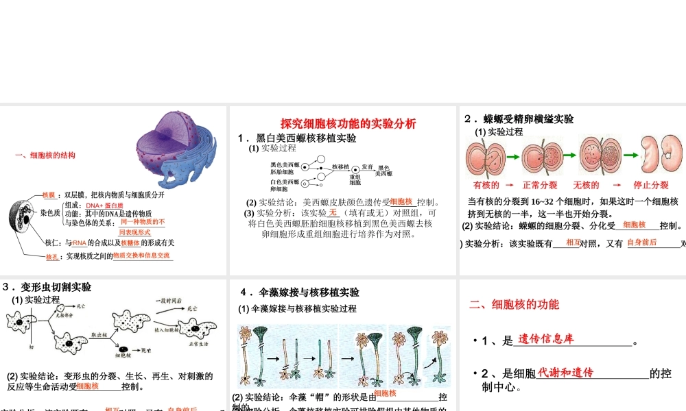 细胞核--系统的控制中心上课
