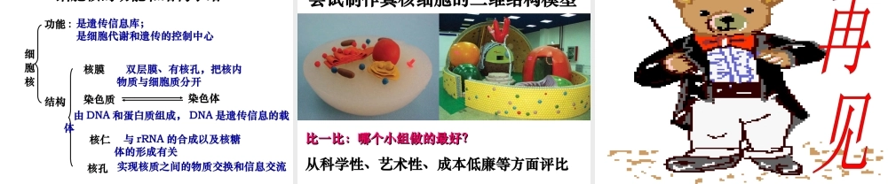 细胞核--系统的控制中心上课