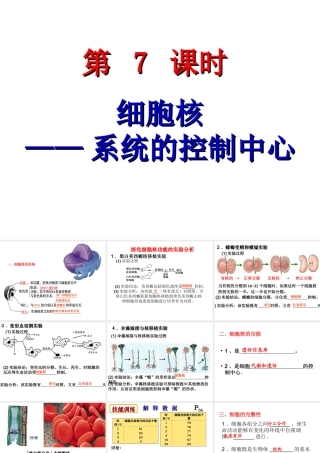 细胞核--系统的控制中心上课
