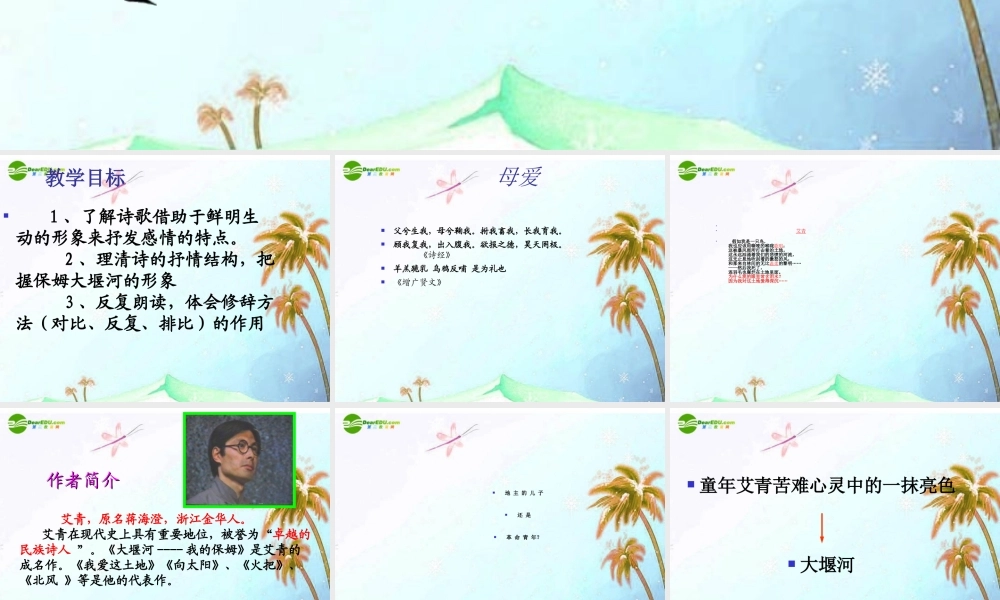 八年级语文下册 第二单元第5课 (大堰河—我的保姆)课件 语文版 课件